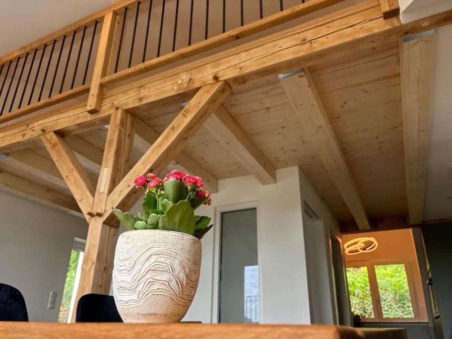Apartamento Zur Donauinsel Bad Abbach Exterior foto